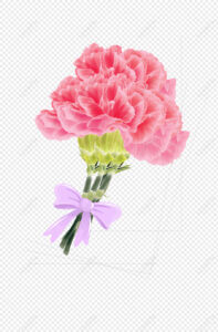 Lovepik Carnation Png Image 400374114 Wh1200 197x300