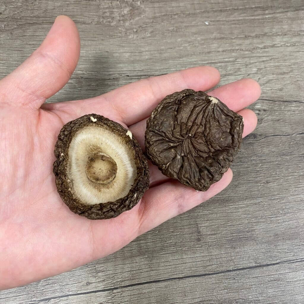 乾香菇手照 1024x1024