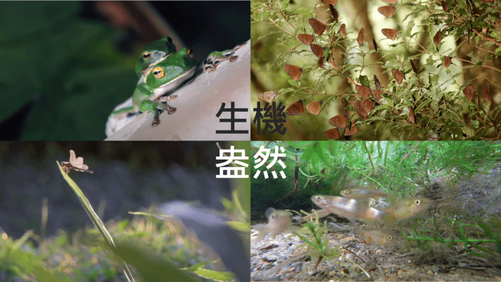 生機盎然 1024x577